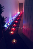 La Vie en Rose #3